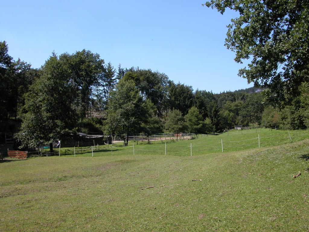 Pension Haus Am Walde Schmallenberg Exteriör bild