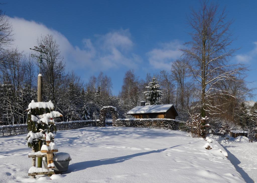 Pension Haus Am Walde Schmallenberg Exteriör bild