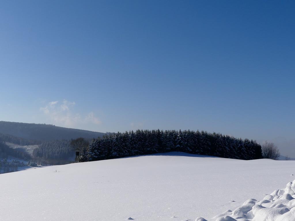 Pension Haus Am Walde Schmallenberg Exteriör bild
