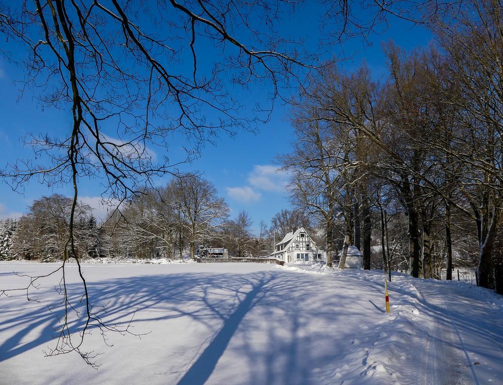 Pension Haus Am Walde Schmallenberg Exteriör bild