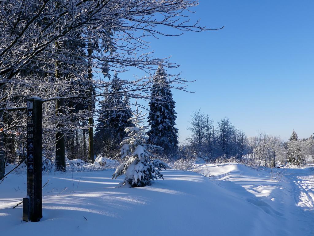 Pension Haus Am Walde Schmallenberg Exteriör bild