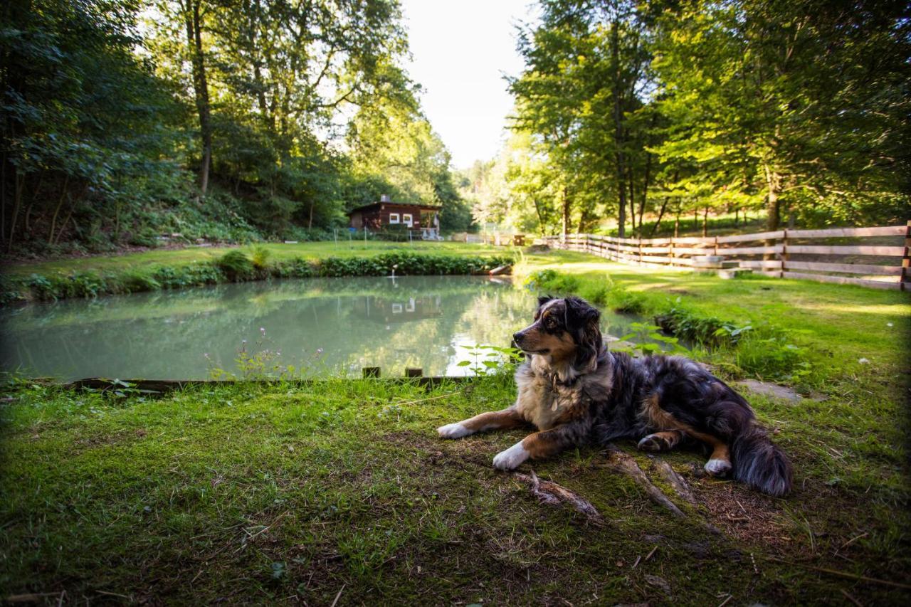Pension Haus Am Walde Schmallenberg Exteriör bild